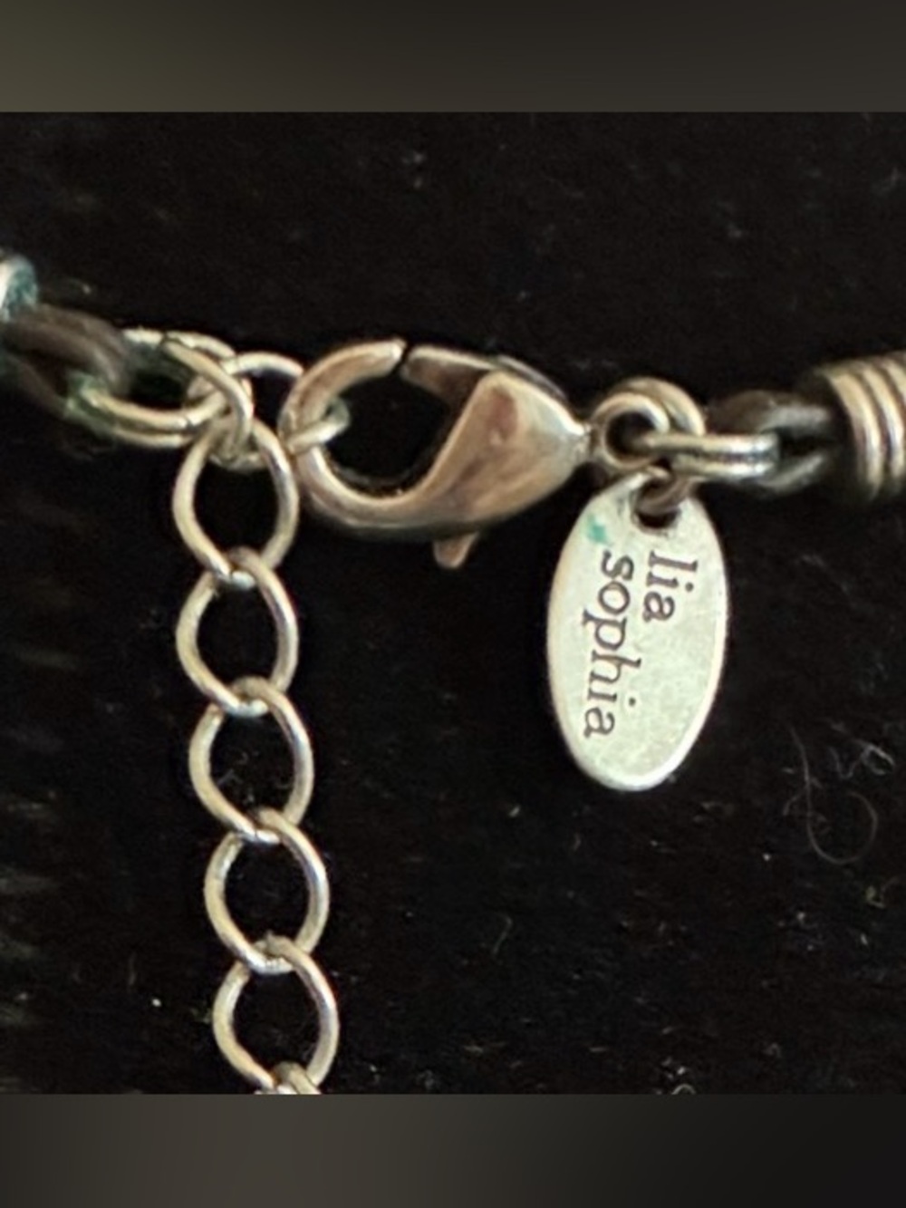 Lia Sophia EUC Necklace Blue
Sodalite Stone Wood Bead
Leather Cord Silver Tone - Picture 8 of 12